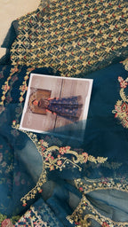 Rang Rasiya Chiffon  Formals