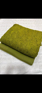 Qureshiya Cut Work Chikan Kari Shirt Stonehost Trouser 2 Pcs