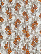 Bana Doria Lawn 2 Pcs