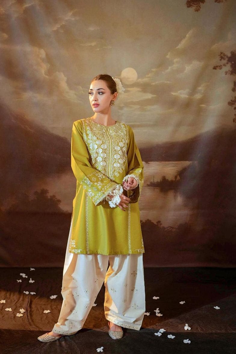 Ready To Wear Safina Embroidered 2 Pcs