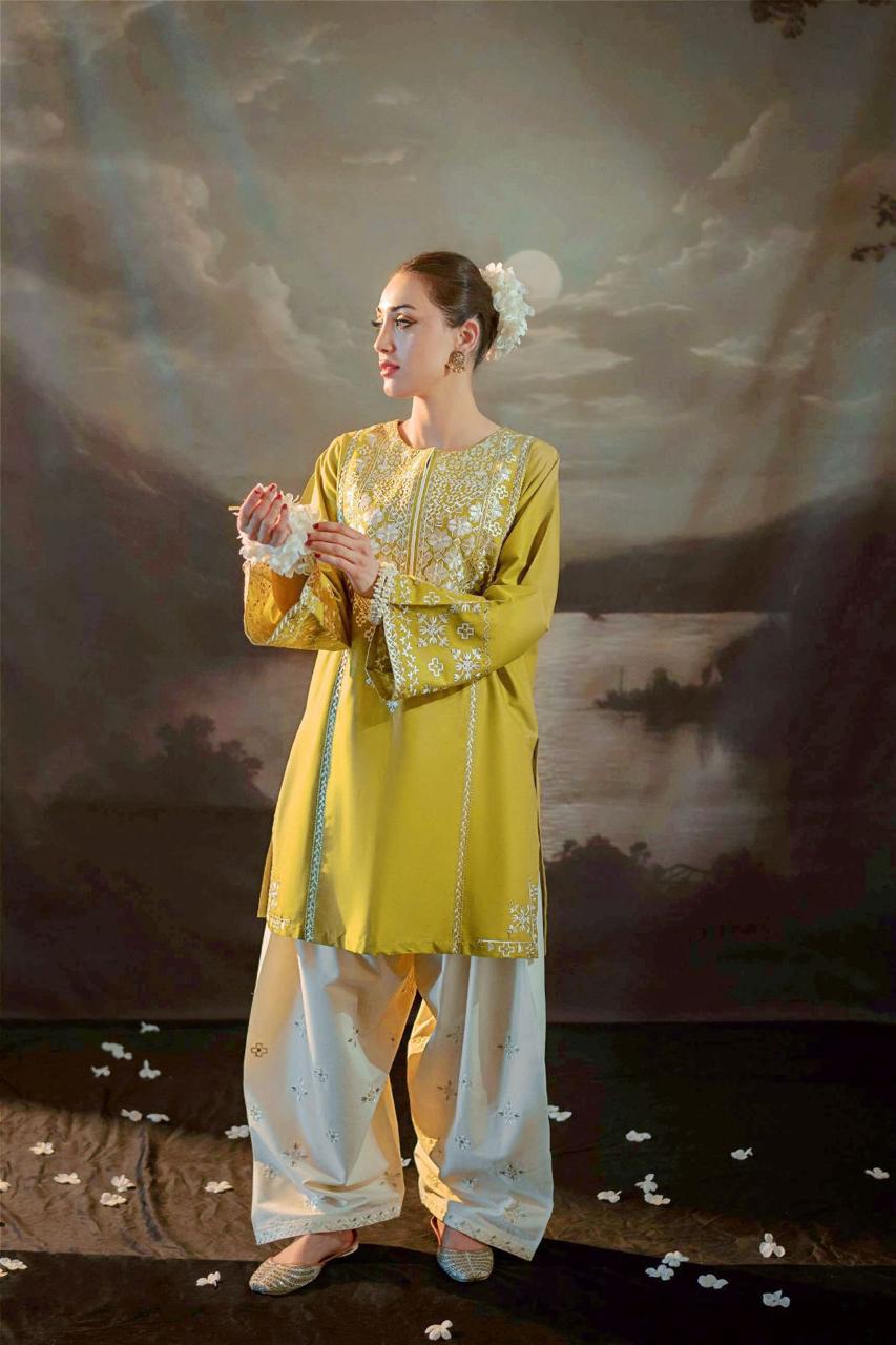 Ready To Wear Safina Embroidered 2 Pcs