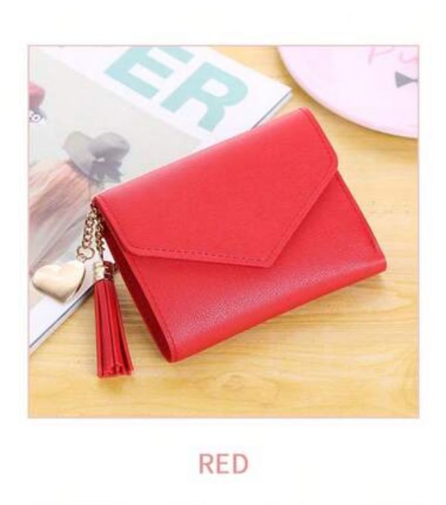 Mini Wallet – Compact Style