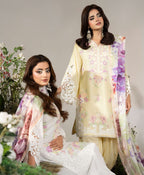 Ready To Wear New Collection