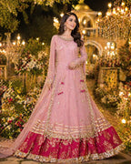 Ready To Wear Elegant Chiffon Fully Handmade